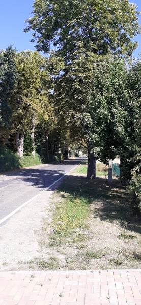 ruhige Dorfstraße ruhige Dorfstraße
